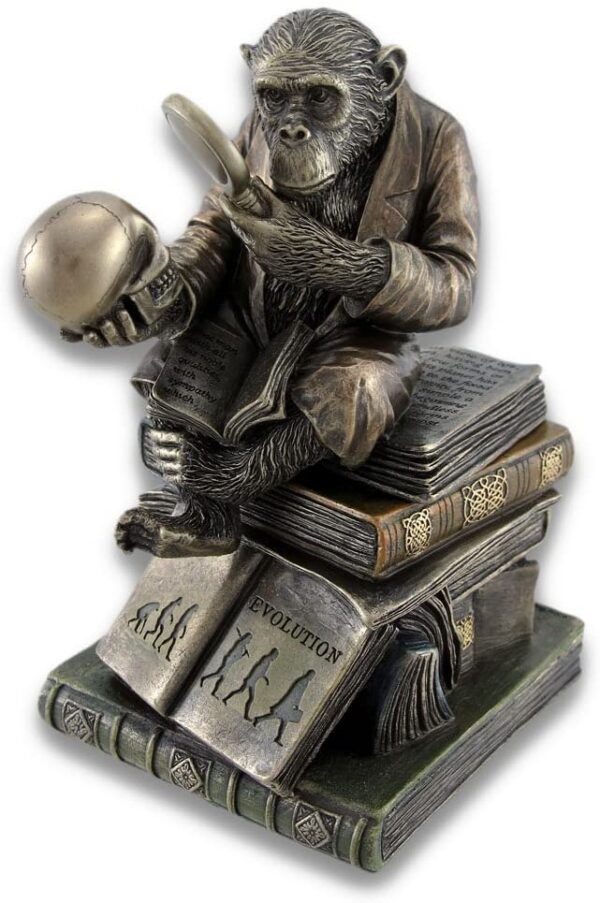 Magic  Collection~Smart Chimpanzee Scholar Trinket Box Stash Box