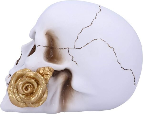 Magicun N.Giftware~Floral Fate Golden Rose Skull Ornament, 17.5cm, White
