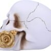 Dark Collection~Floral Fate Golden Rose Skull Ornament, White, 17.5cm