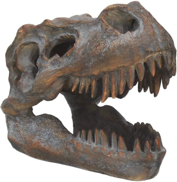 Magicun N.Giftware~Tyrannosaurus Rex Skull Freestanding Figurine 18.5cm Grey