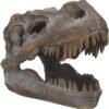 Animal Collection~ Tyrannosaurus Rex Skull Freestanding Figurine 18.5cm Grey