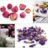 Witchcraft~PNANA Dried Flowers - Bath Bomb Making Kit Tea Bulk of Lavender Buds, Rosebud, Jasmine, Chamomile, Also for Cake Decorations Candle Making Soap Making kit