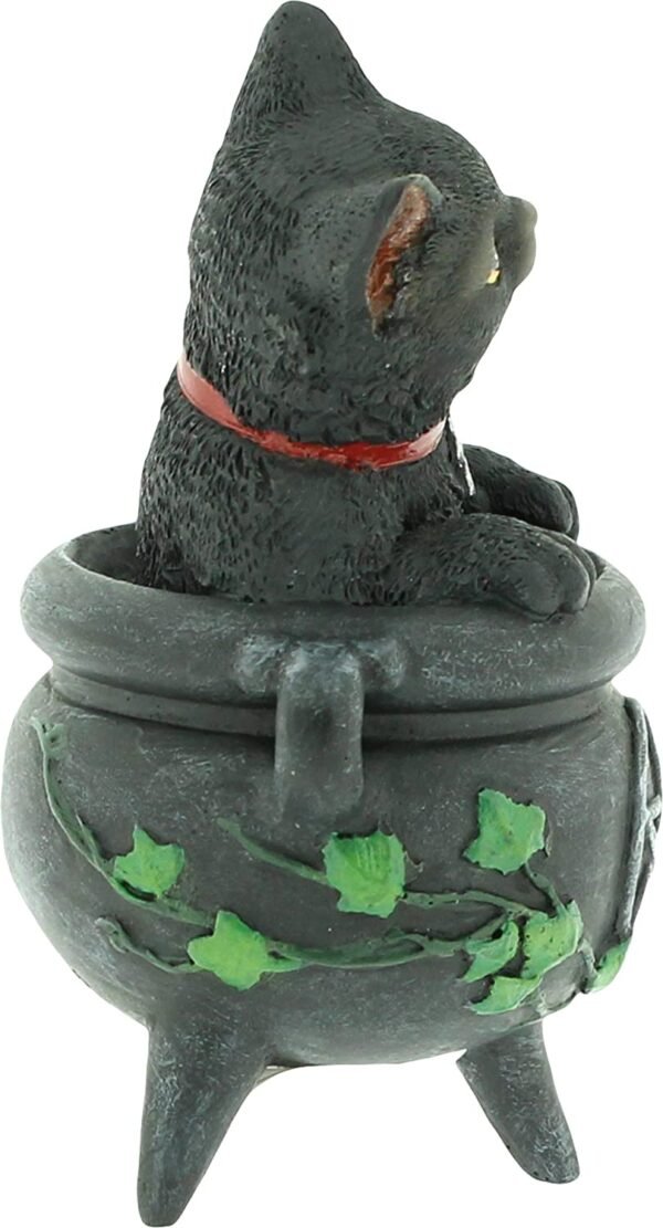Wiccan Collection~Smudge Figurine 16cm Black