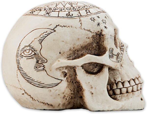 Dark Collection~Astrological Skull Figurine 29cm Ivory
