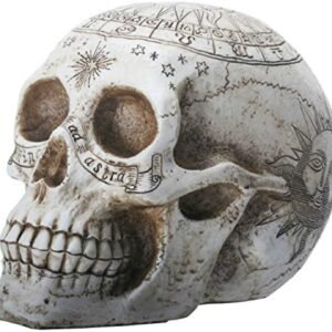 Dark Collection~Astrological Skull Figurine 29cm Ivory