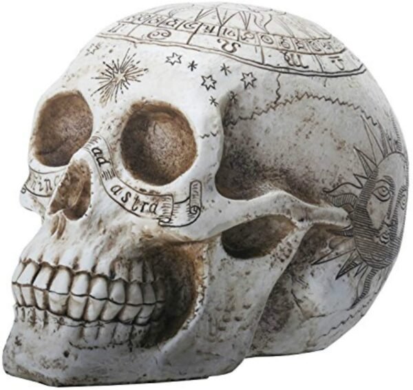 Dark Collection~Astrological Skull Figurine 29cm Ivory