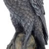 Magicun N.Giftware~Ravens Rest Figurine 20cm Black
