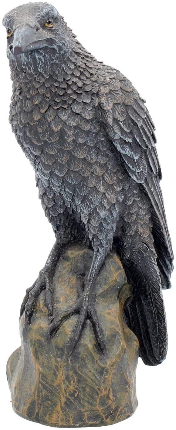 Magicun N.Giftware~Ravens Rest Figurine 20cm Black