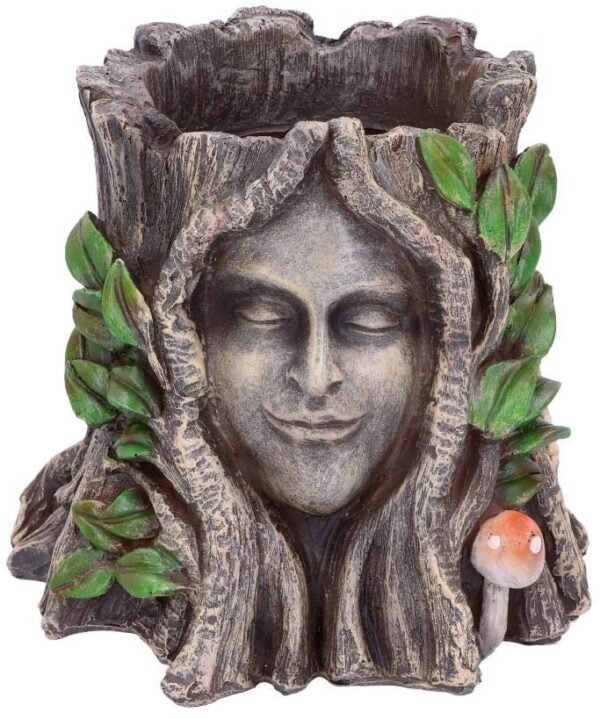 Light Collection~D4755P9 Oak Goddess Pot 16.7cm, Brown