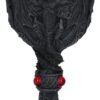 Nemesis Now U2888H7 Dragon's Blood Goblet 19cm, Resin w/stainless steel insert, Black, One Size