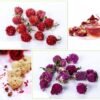 Witchcraft~PNANA Dried Flowers - Bath Bomb Making Kit Tea Bulk of Lavender Buds, Rosebud, Jasmine, Chamomile, Also for Cake Decorations Candle Making Soap Making kit