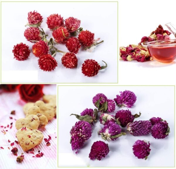 Witchcraft~PNANA Dried Flowers - Bath Bomb Making Kit Tea Bulk of Lavender Buds, Rosebud, Jasmine, Chamomile, Also for Cake Decorations Candle Making Soap Making kit