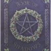 Magicun N.Giftware~, Blue Embossed Book of Shadows Ivy 17cm, Coated, Wood Free Paper