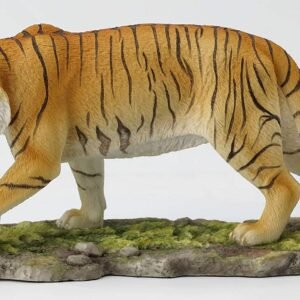 71SlU6PkXlL._AC_SL1500 Magicun Collection~5.75 Inch Tiger Collectible Wild Life Cast Resin Safari Statue Figurine