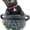 Wiccan Collection~Smudge Figurine 16cm Black