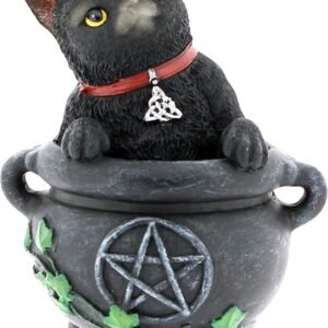 Wiccan Collection~Smudge Figurine 16cm Black