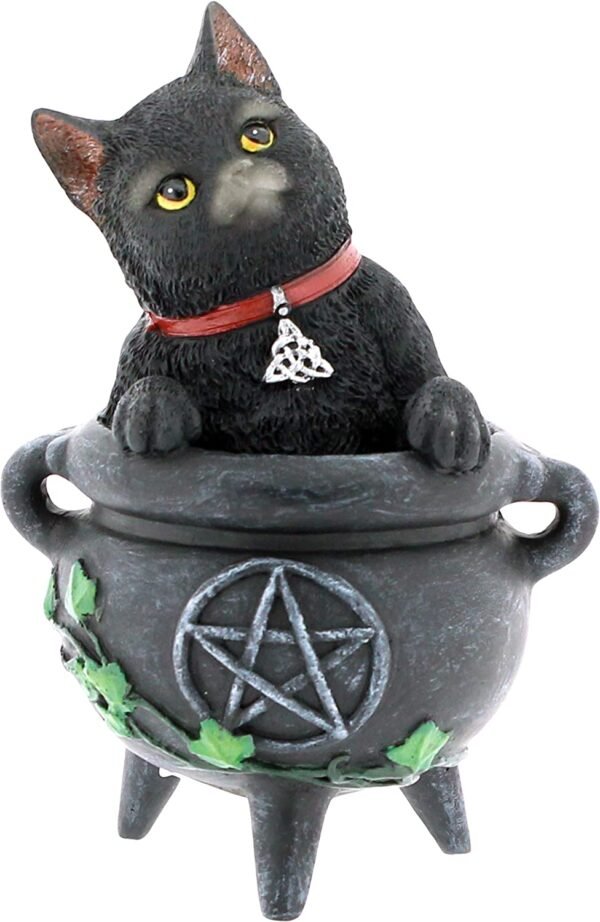 Wiccan Collection~Smudge Figurine 16cm Black