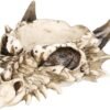 Dark Collection~Smaug Box 17cm White
