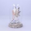 Nemesis Now Eira Fairy Figurine 21.5cm, Polyresin, White