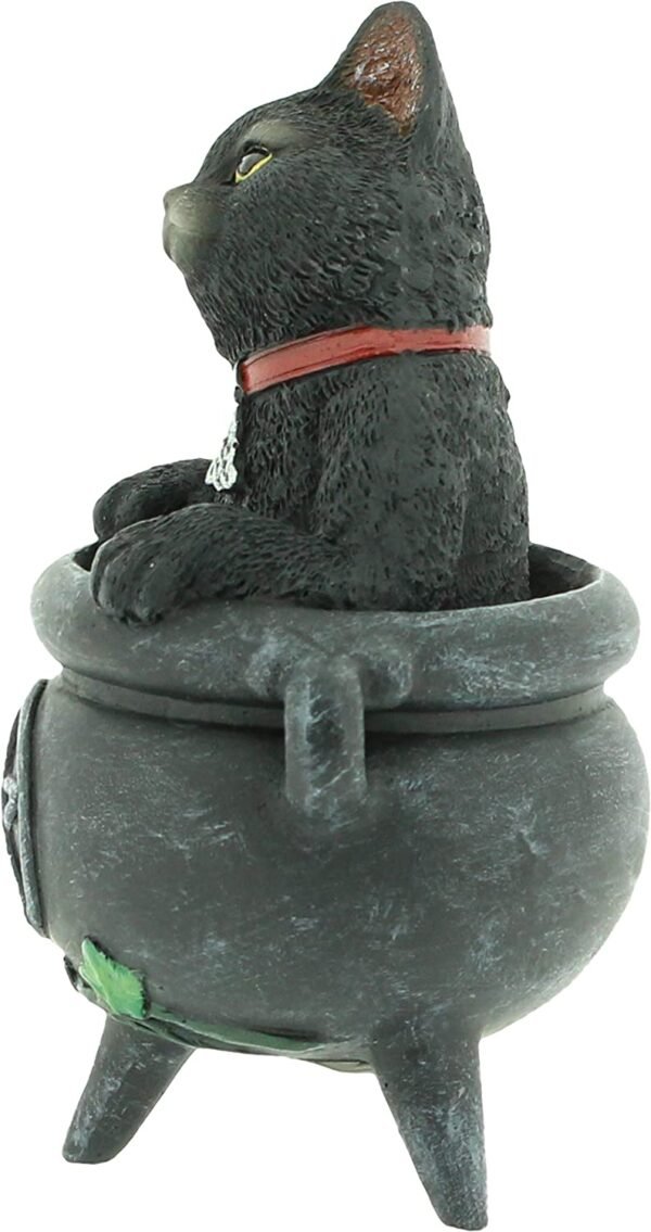 Wiccan Collection~Smudge Figurine 16cm Black