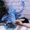 Artist Collections~ Adult Water Dragon Anne Stokes 31cm Figurine, Resin, Blue
