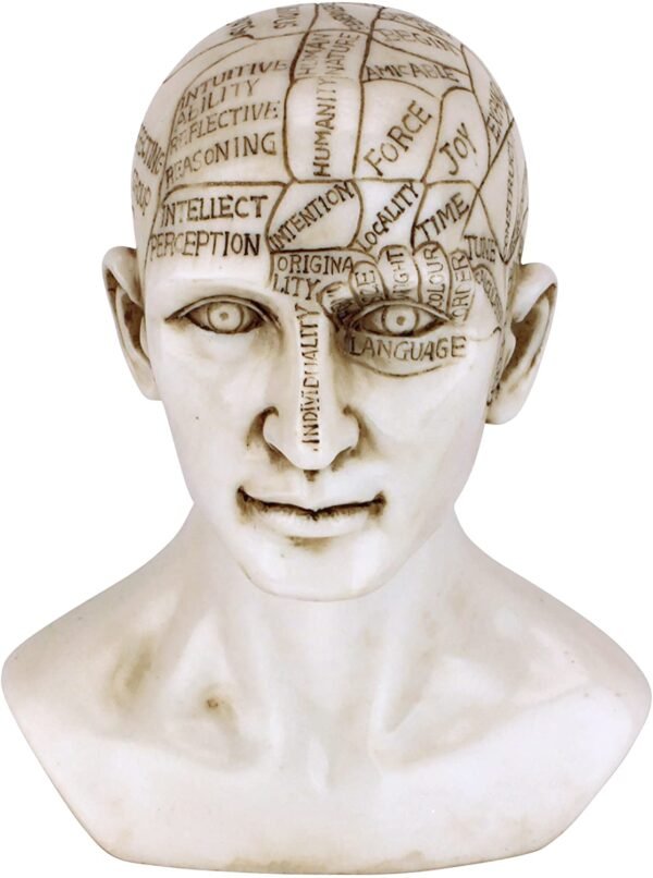 Magic  Collection~Design Toscano PD9903 The Palmistry Hand Sculpture,ancient ivory