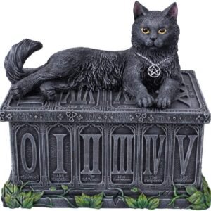 Magicun N.Giftware~Fortune's Watcher Tarot Box 17cm Black, Resin