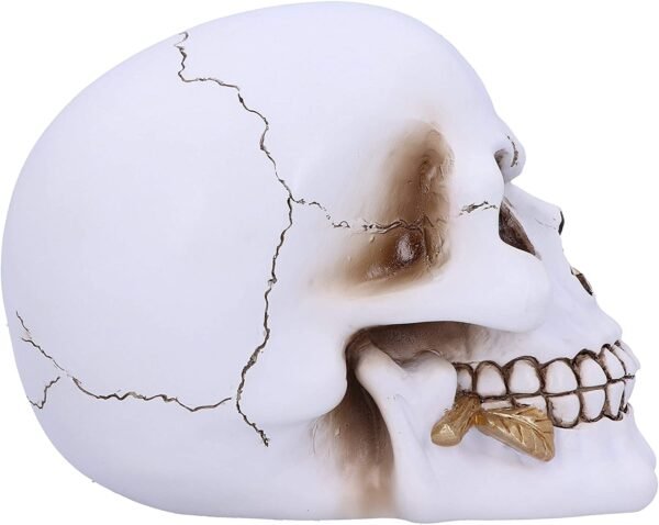 Magicun N.Giftware~Floral Fate Golden Rose Skull Ornament, 17.5cm, White