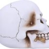 Dark Collection~Floral Fate Golden Rose Skull Ornament, White, 17.5cm
