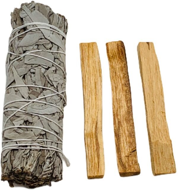 Witchcraft~Resin Incense Set: Palo Santo, Dragon's Blood, Altar Blend, Myrrh, White Copal, Frankincense and Myrrh, Benzoin, Ethiopian Frankincense | White Sage Smudge Stick, Charcoal Tablets (Resin Incense Set)