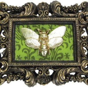 Dark Collection~Macabre Mount Baroque Framed Death's Head Moth Wall Plaque, Polyresin, Bronze, One Size