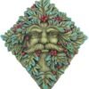 Magicun N.Giftware~Berry Beard Wall Plaque 24cm Green, Resin