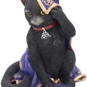 Wiccan Collection~NEM2775 Jinx Figurine 15cm Black