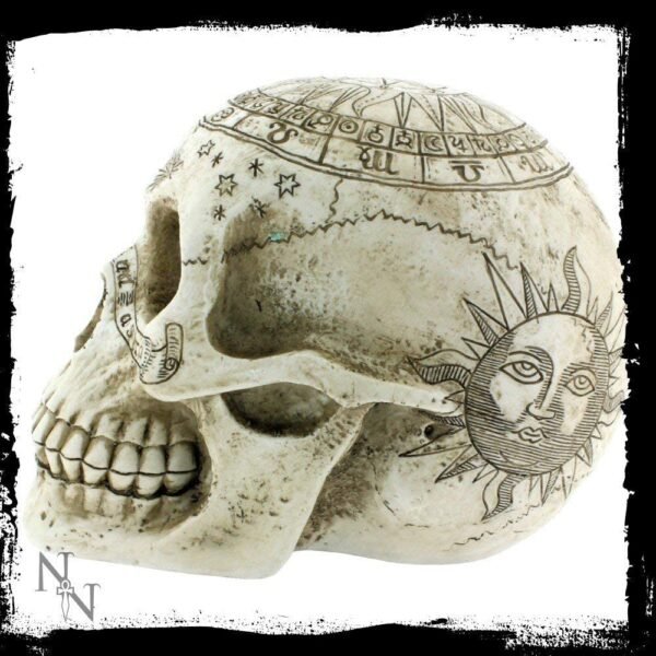 Dark Collection~Astrological Skull Figurine 29cm Ivory