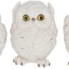 Animal Collection~ Three Wise Owls Figurine 8cm White