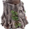 Light Collection~D4755P9 Oak Goddess Pot 16.7cm, Brown