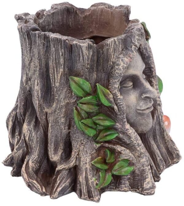 Light Collection~D4755P9 Oak Goddess Pot 16.7cm, Brown