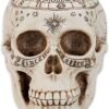 Dark Collection~Astrological Skull Figurine 29cm Ivory