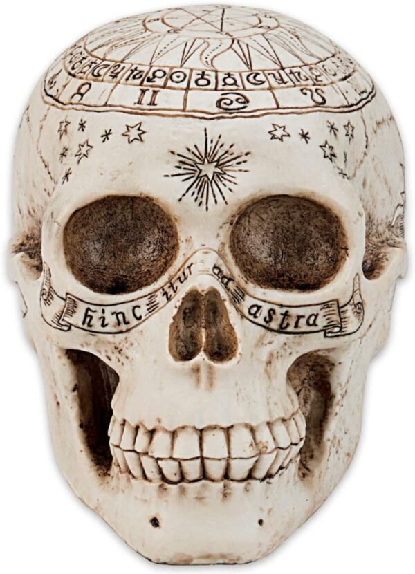 Dark Collection~Astrological Skull Figurine 29cm Ivory