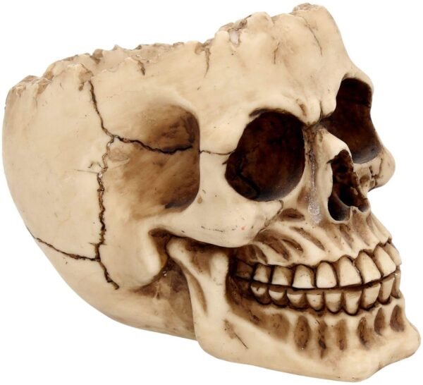 Dark Collection~Lobo Ashtray 13.5cm Ivory