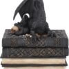 Magicun N.Giftware~Secrets Of The Dragon Box 19cm Black