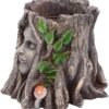 Light Collection~D4755P9 Oak Goddess Pot 16.7cm, Brown