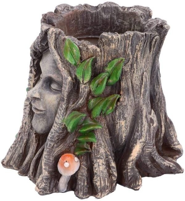 Light Collection~D4755P9 Oak Goddess Pot 16.7cm, Brown