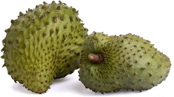 Witchcraft~Organic Graviola Liquid Soursop Extract 4 oz Wildcrafted Tincture (Annona Muricata) : Immune System Booster (4oz)