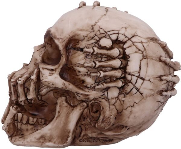 Magicun N.Giftware~Officially Licensed James Ryman Breaking Out Skull Skeleton Ornament, 20cm, Natural