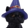Wiccan Collection~Hocus Small Witches Familiar Black Cat and Spellbook Figurine, Red, 12.7cm