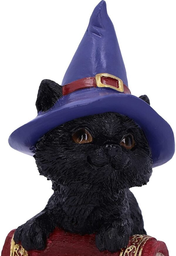 Wiccan Collection~Hocus Small Witches Familiar Black Cat and Spellbook Figurine, Red, 12.7cm