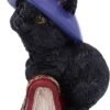 Wiccan Collection~Hocus Small Witches Familiar Black Cat and Spellbook Figurine, Red, 12.7cm
