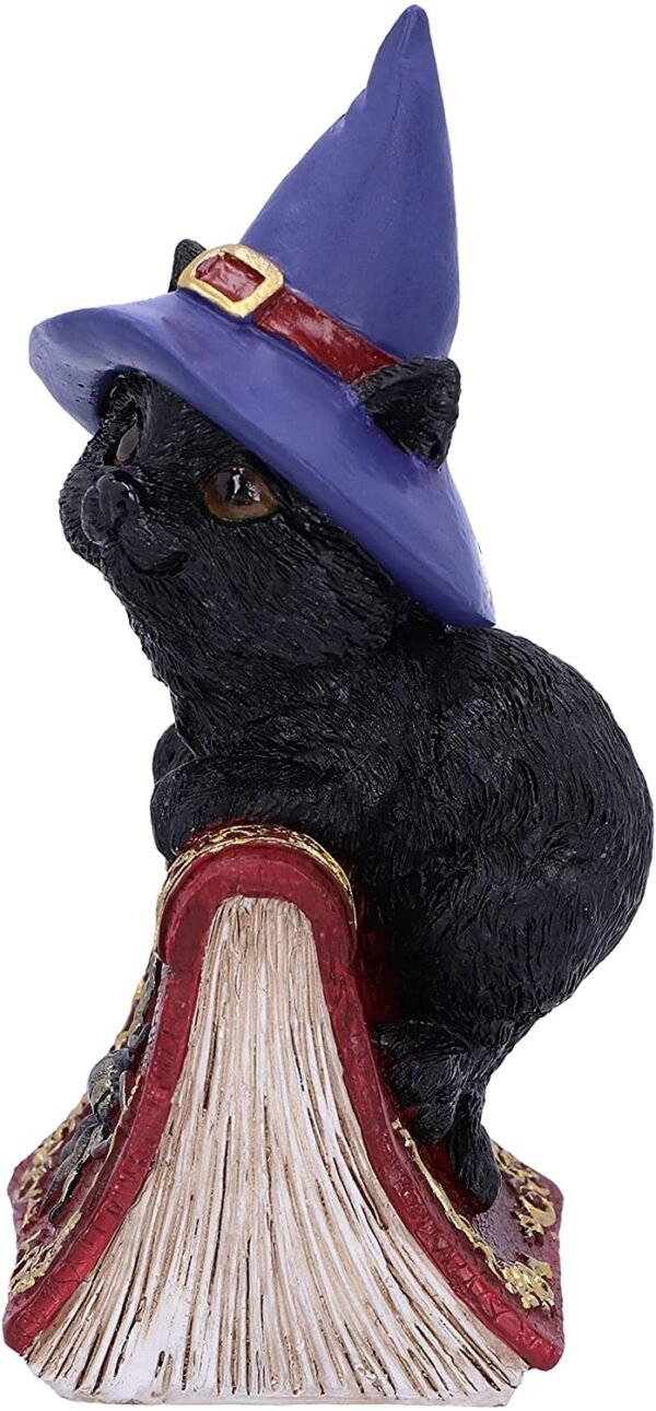 Wiccan Collection~Hocus Small Witches Familiar Black Cat and Spellbook Figurine, Red, 12.7cm