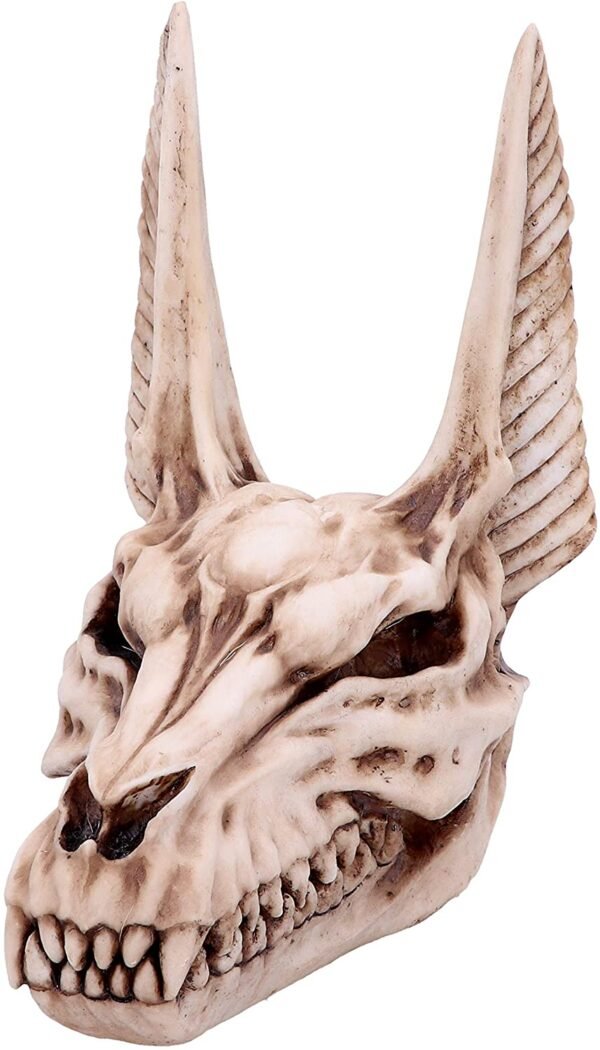 Mythology Collection~ D4736P9 Anubis Skull Figurine 17cm, Resin, Taupe, One Size